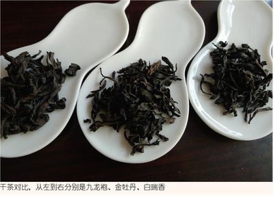 挑选新鲜茶叶的方法，品味茶香四溢
