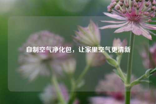 自制空气净化包，让家里空气更清新